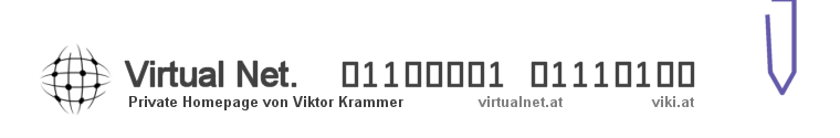 Virtual Net Logo