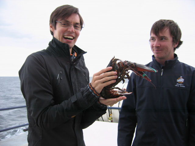 Lobster (wurde wieder freigelassen) (Kanada 2008)